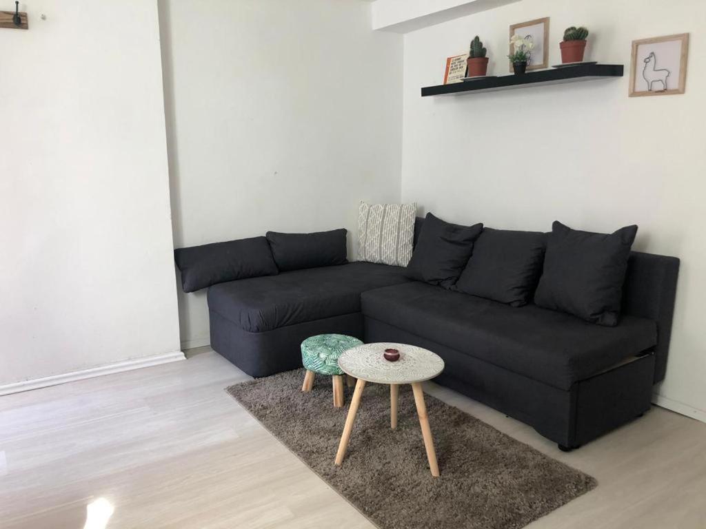 Bescheidene Untergeschoss Wohnung In Guter Lage. Кёльн Экстерьер фото