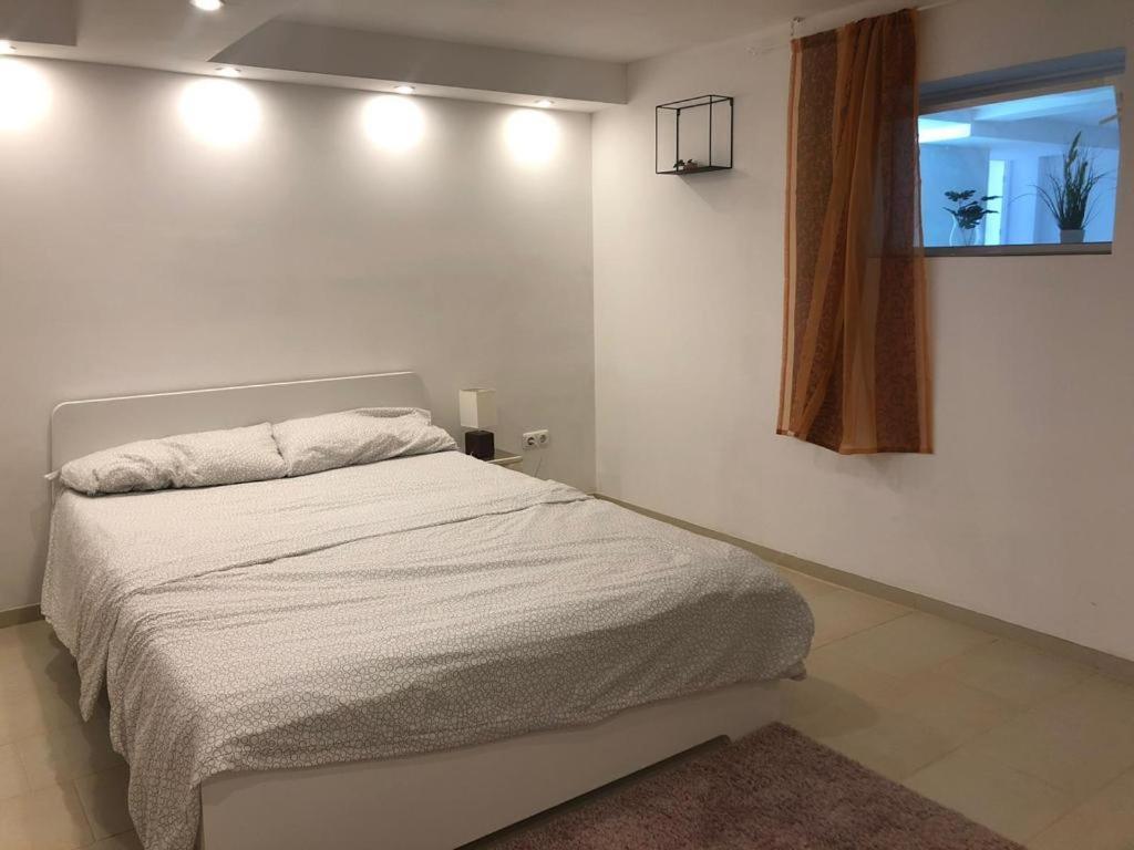 Bescheidene Untergeschoss Wohnung In Guter Lage. Кёльн Экстерьер фото